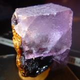 Fluorite on Sphalerite.<br />Elmwood Mine, Carthage, Central Tennessee Ba-F-Pb-Zn District, Smith County, Tennessee, USA<br />48 mm x 50 mm x 34 mm<br /> (Author: franjungle)