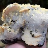 Calcite, Pyrite, Quartz, Sphalerite<br />Cavnic Mine, Cavnic mining area, Cavnic, Maramures, Romania<br />16 x 14.5 cm<br /> (Author: Deyu)