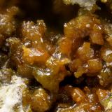 Descloizita<br />Mina Santa Bárbara, Cerro de Pichita, La Perdiguera, Madridejos, Comarca La Mancha, Toledo, Castilla-La Mancha, España<br />Campo de visión de 3 mm<br /> (Autor: Antonio Carmona)