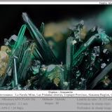 atacamite<br />La Farola Mine, Cerro Pintado, Las Pintadas District, Tierra Amarilla, Copiapó Province, Atacama Region, Chile<br />fov 2.5 mm<br /> (Author: ploum)