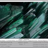 Atacamite<br />La Farola Mine, Cerro Pintado, Las Pintadas District, Tierra Amarilla, Copiapó Province, Atacama Region, Chile<br />fov 1.6 mm<br /> (Author: ploum)