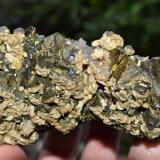 Chalcopyrite, Quartz, Calcite, Freibergite<br />Cavnic Mine, Cavnic mining area, Cavnic, Maramures, Romania<br /><br /> (Author: Deyu)