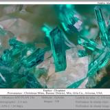 Dioptase<br />Christmas Mine, Christmas, Banner District, Dripping Spring Mountains, Gila County, Arizona, USA<br />fov 2.4 mm<br /> (Author: ploum)