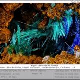 Brochantite<br />Blue Bell Mine, Baker, Soda Lake Mountains, San Bernardino County, California, USA<br />fov 2.7 mm<br /> (Author: ploum)