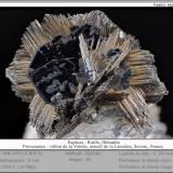 Rutile and Hematite<br />Vallon de la Valette, La Lauzière Massif, Saint-Jean-de-Maurienne, Savoie, Auvergne-Rhône-Alpes, France<br />fov 8 mm<br /> (Author: ploum)