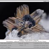 Rutile and HematiteVallon de la Valette, La Lauzière Massif, Saint-Jean-de-Maurienne, Savoie, Auvergne-Rhône-Alpes, Francefov 8 mm (Author: ploum)