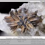 Rutile and HematiteVallon de la Valette, Macizo La Lauzière, Saint-Jean-de-Maurienne, Saboya, Auvergne-Rhône-Alpes, Franciafov 8 mm (Author: ploum)