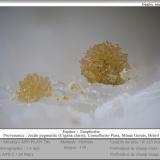 Eosphorite<br />Cigana Mine (Jocão Mine), Conselheiro Pena, Vale do Rio Doce, Minas Gerais, Brazil<br />fov 1.6 mm<br /> (Author: ploum)