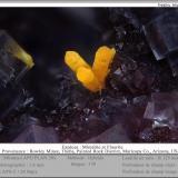 Mimetite and Fluorite<br />Rowley Mine, Theba, Painted Rock District, Painted Rock Mountains, Maricopa County, Arizona, USA<br />fov 1.6 mm<br /> (Author: ploum)