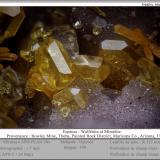 Wulfenite and Mimetite<br />Rowley Mine, Theba, Painted Rock District, Painted Rock Mountains, Maricopa County, Arizona, USA<br />fov 1.7 mm<br /> (Author: ploum)