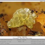 Mimetite<br />Mas Dieu, Mercoirol, Alès, Gard, Occitanie, France<br />fov 2.7 mm<br /> (Author: ploum)