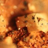 Dolomite<br />La Cena del Depósito Claim, Huércal-Overa, Comarca Levante Almeriense, Almería, Andalusia, Spain<br />FOV 7 mm<br /> (Author: franjungle)