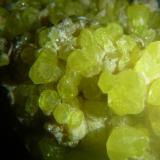 Sulphur<br />El Desierto Mine, San Pablo de Napa, Daniel Campos Province, Potosí Department, Bolivia<br />94 mm x 65 mm x 48 mm<br /> (Author: franjungle)