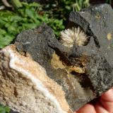 AragonitoNiu Corbu Quarry, Noragugume, Nuoro Province, Sardinia/Sardegna, Italydiámetro: 3 cm (Autor: nerofis2)