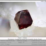 Anatase<br />Vallon de la Rave, La Lauzière Massif, Saint-Jean-de-Maurienne, Savoie, Auvergne-Rhône-Alpes, France<br />fov 1.6 mm<br /> (Author: ploum)