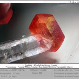 Roselite-Wendwilsonite Series on Quartz<br />Aghbar Mine (Arhbar Mine), Bou Azzer mining district, Zagora Province, Drâa-Tafilalet Region, Morocco<br />fov 1.7 mm<br /> (Author: ploum)