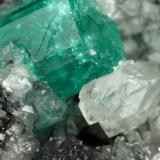 Beryl (variety emerald), Calcite, Pyrite<br />La Pita mining district, Polveros Mine, Municipio Maripí, Western Emerald Belt, Boyacá Department, Colombia<br />77x86x68mm, xl=19mm<br /> (Author: Fiebre Verde)