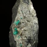 Beryl (variety emerald), Calcite, Pyrite, Muscovite<br />Chivor mining district, Municipio Chivor, Eastern Emerald Belt, Boyacá Department, Colombia<br />126x68x42, xls up to 10mm<br /> (Author: Fiebre Verde)