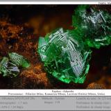 Adamite<br />Hilarion Mine, Hilarion area, Kamariza Mines, Agios Konstantinos, Lavrion Mining District, Attikí (Attica) Prefecture, Greece<br />fov 1.7 mm<br /> (Author: ploum)