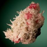 RhodochrositeSweet Home Mine, Mount Bross, Alma District, Park County, Colorado, USA6 cm (Author: Nunzio)