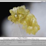 Mimetite<br />Longefay Mine, Poule-les-Echarmeaux, Villefranche-sur-Saône, Rhône, Auvergne-Rhône-Alpes, France<br />fov 3.5 mm<br /> (Author: ploum)