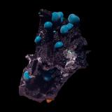 Rosasite<br />Ojuela Mine, Mapimí, Municipio Mapimí, Durango, Mexico<br />5.4 cm<br /> (Author: Nunzio)