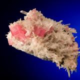 Rhodochrosite<br />Sweet Home Mine, Hedgehog pocket, Main Stope drift, Mount Bross, Alma District, Park County, Colorado, USA<br />6 cm<br /> (Author: Nunzio)