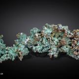 Copper and Malachite<br />Bou Nahas Mine, Oumjrane mining area, Alnif Commune, Tinghir Province, Drâa-Tafilalet Region, Morocco<br />190 X 70 mm<br /> (Author: Manuel Mesa)