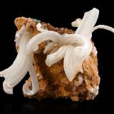 Gypsum on Dolomite<br />Bou Bekker, Touissit District, Jerada Province, Oriental Region, Morocco<br />17.5x 16.0 x 11.0 cm<br /> (Author: MIM Museum)
