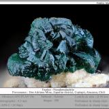 Pseudomalachite<br />Dos Adriana Mine, Zapallar District, Copiapó Province, Atacama Region, Chile<br />fov 4.5 mm<br /> (Author: ploum)