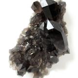 Quartz (variety smoky)<br />Ferret Valley, Les Grandes Jorasses Massif, Courmayeur, Aosta Valley (Val d'Aosta), Italy<br />Specimen height 14 cm, largest smoky quartz crystal 6,5 cm<br /> (Author: Tobi)