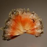 ScoleciteChandanapuri, Samgamner, Distrito Ahmadnagar, Maharashtra, India3.6 x 4.7 cm (Author: crosstimber)