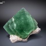 Fluorite<br />Xinyang Prefecture, Henan Province, China<br />92 X 67 mm<br /> (Author: Manuel Mesa)