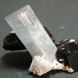 Beryl (variety Aquamarine) and Schorl<br />Erongo Mountain, Usakos, Erongo Region, Namibia<br />44mm x 32mm x 20mm<br /> (Author: Heimo Hellwig)