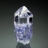 Quartz with Dumortierite inclusionsCantera Vaca Morta, Sierra da Vereda, Boquira, Bahia, Región Nordeste, Brasil1.0 x 2.2 cm (Author: crosstimber)