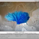 Camerolaïte<br />La Moutoune Pass, Avène, Lunas Canton, Lodève District, Hérault, Occitanie, France<br />fov 2.5 mm<br /> (Author: ploum)