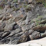 Gneis porfiroblasticoXilloi beach, O Vicedo, Comarca da Mariña Occidental, Lugo, Galicia / Galiza, SpainFilon de pegmatita de unos 20 cm de potencia (Autor: Jesús López)