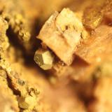 limonite after Pyrite on Dolomite<br />El Almendral Quarry, Road to Berja, Berja, Comarca Poniente Almeriense, Almería, Andalusia, Spain<br />FOV 6 mm<br /> (Author: franjungle)