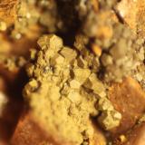 limonite after PyriteEl Almendral Quarry, Road to Berja, Berja, Comarca Poniente Almeriense, Almería, Andalusia, SpainFOV 7 mm (Author: franjungle)