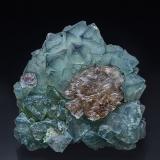 Fluorite<br />Heson Mine (Hesson Mine), Buckskin Mountains, La Paz County, Arizona, USA<br />5.4 x 5.2 cm<br /> (Author: am mizunaka)