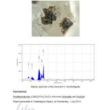 The analysis of the previous ones (related with the Pentahydroborites) re-confirmed also for the new ones (Author: Jordi Fabre)