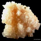 Halita.<br />Baker, Montes Soda Lake, Condado San Bernardino, California, USA<br />70x60 mm.<br /> (Autor: Jesus Franquesa Baucells)