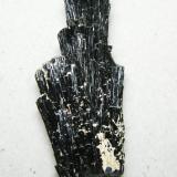 Schorl<br />Erongo Mountain, Usakos, Erongo Region, Namibia<br />27mm x 58mm x 19mm<br /> (Author: Heimo Hellwig)