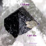 Perovskita<br />Magnet Cove, Condado Hot Spring, Arkansas, USA<br />1´119 x 1´207 mm.<br /> (Autor: Jesus Franquesa Baucells)