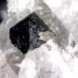 Perovskita<br />Magnet Cove, Condado Hot Spring, Arkansas, USA<br />1´119 x 1´207 mm.<br /> (Autor: Jesus Franquesa Baucells)