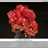 Vanadinite<br />Mibladen (Mibladen mining district), Midelt, Midelt Province, Drâa-Tafilalet Region, Morocco<br />fov 70 mm<br /> (Author: ploum)