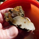 Quartz<br />Ceres, Warmbokkeveld Valley, Ceres, Valle Warmbokkeveld, Witzenberg, Cape Winelands, Western Cape Province, South Africa<br />Hand for size.<br /> (Author: Pierre Joubert)