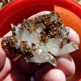 Quartz<br />Ceres, Warmbokkeveld Valley, Ceres, Valle Warmbokkeveld, Witzenberg, Cape Winelands, Western Cape Province, South Africa<br />Hand for size.<br /> (Author: Pierre Joubert)