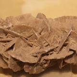 Gypsum<br />Tunisia<br />13cm x 6cm x 8cm<br /> (Author: franjungle)