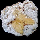 Baryte on Quartz<br />Monroe County, Indiana, USA<br />Specimen is 8 cm. Baryte blades are up to 2.5 cm.   The whole baryte area is 4.6 cm<br /> (Author: Bob Harman)